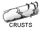 crusts